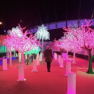 Meet your Posher, Jiyoung